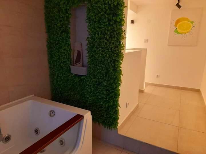 Limone Apartmani Nis Bagian luar foto